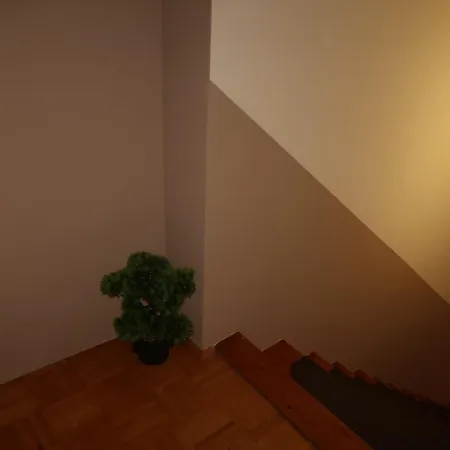 Apartment Lejla